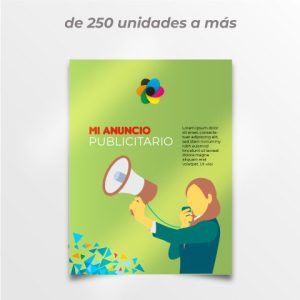 afiches tamaño 60 por 40 centimetros impreso en papel couche
